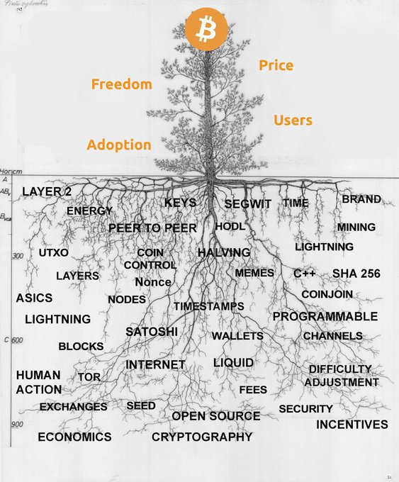 Bitcoin Roots